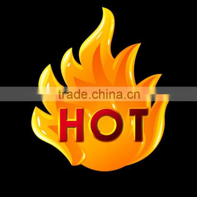 Besnfoto BF-1013 Small size New SLR Bag for SLR and Media Accessories