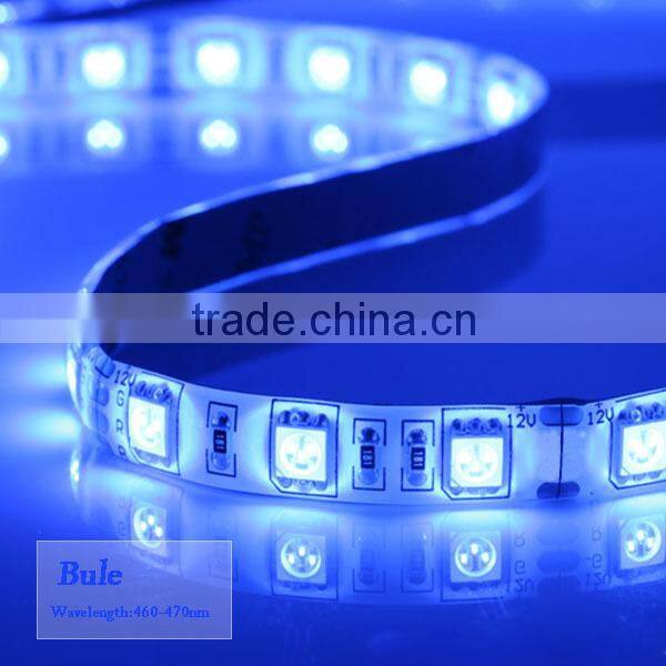 5050 SMD 60led/m Blue Waterproof 300leds LED Flexible Strip Light CE/ROHS