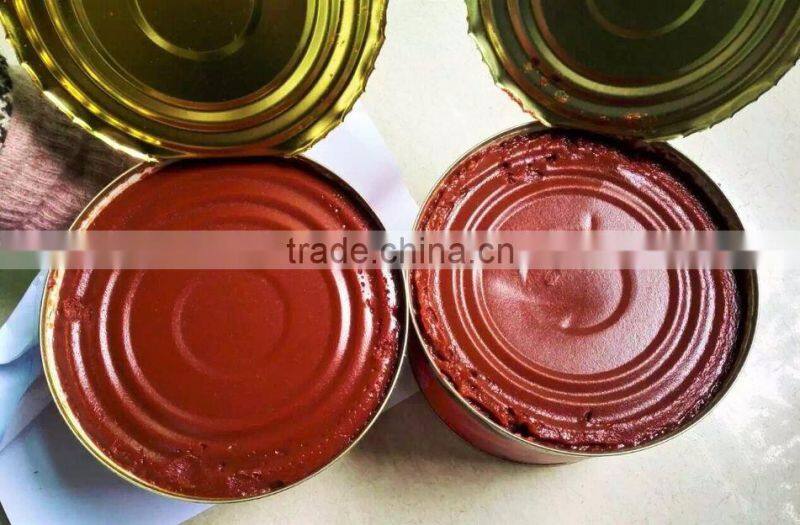 70g Canned Tomato Paste, Sachet Tomato Paste.Tomato Sauce, ketchup.