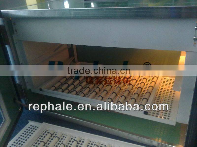 atomatic egg incubator