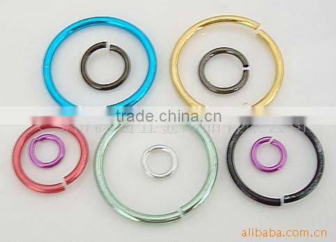 Garment/Shoes/Bag Accessory