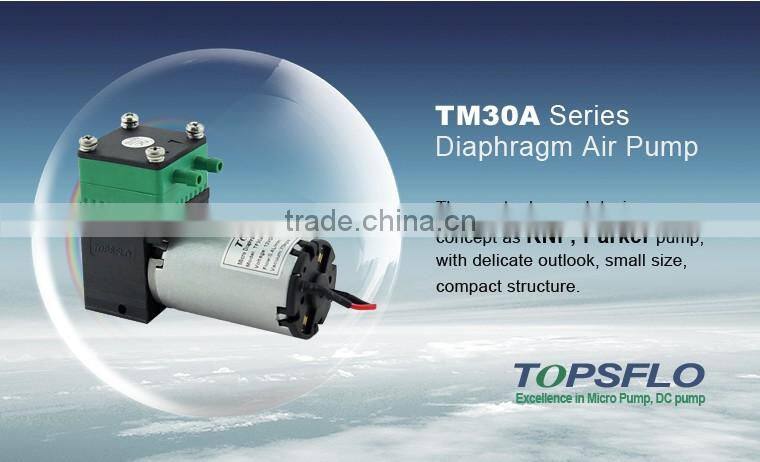 6v 12v 24v dc diaphragm Air Pump for autoclave sterilizer