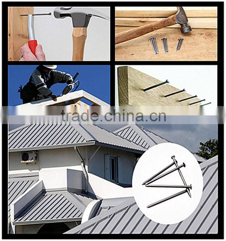 best price bright smooth iron common nails with round head