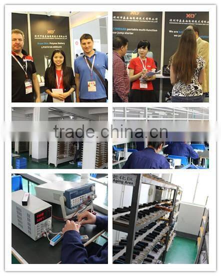 Cheap portable 2500mah lithium polymer battery power bank super slim credit card power bank