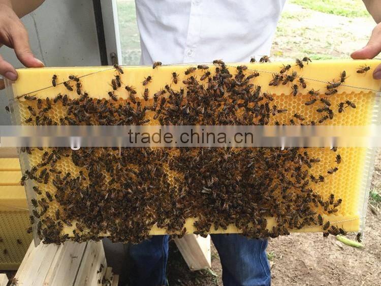 Flow hive , plastic beehive , beehive for sale