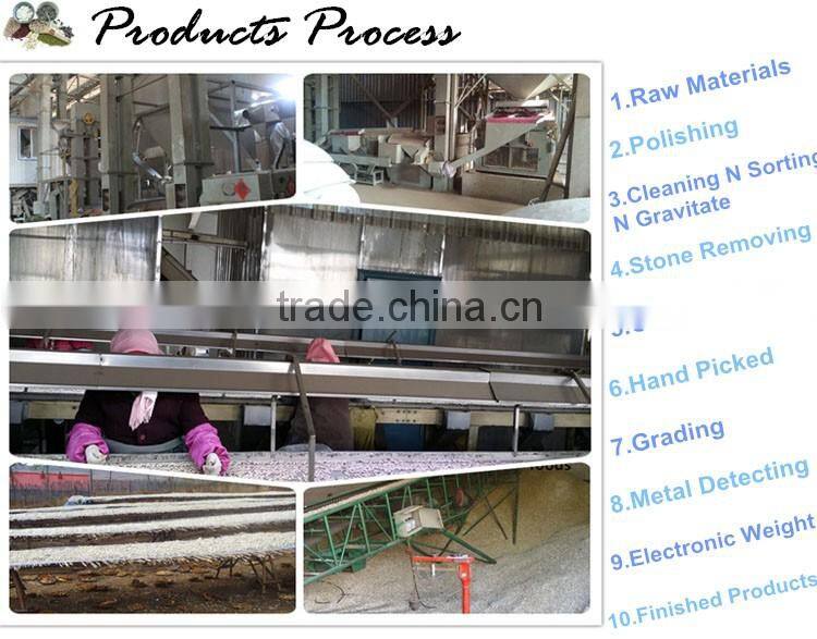 Shine Skin Seeds New Crop