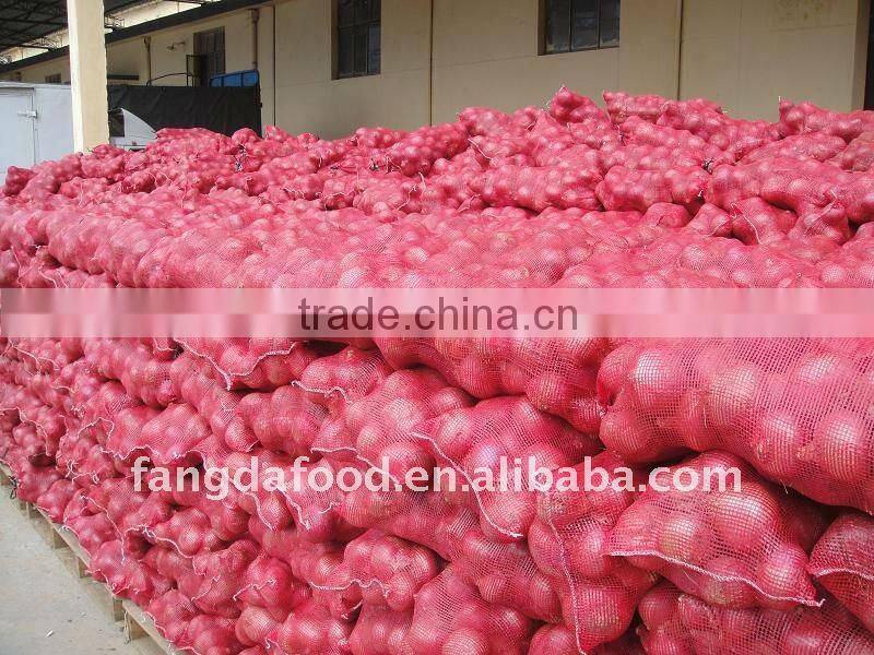 Supply fresh red onion and yellow onion