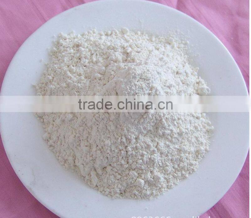 High Mesh Dehydrated Garlic Powder Big Sale