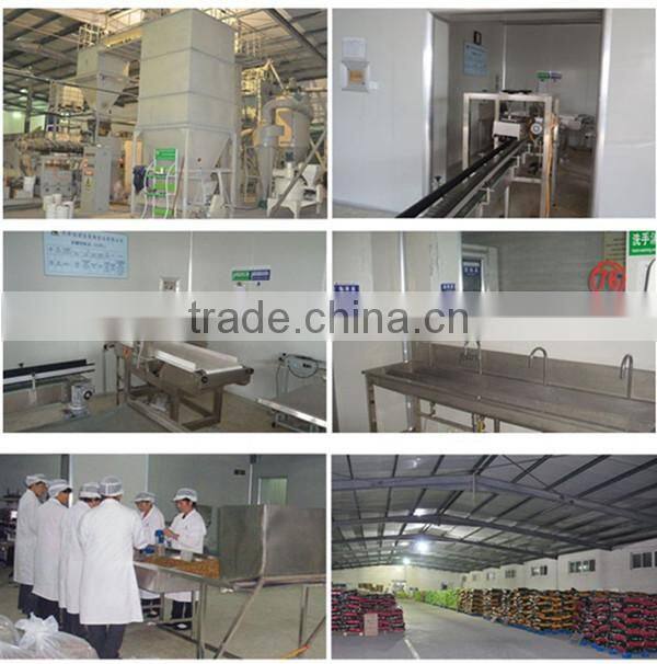 packets food lizard dried silkworm chow