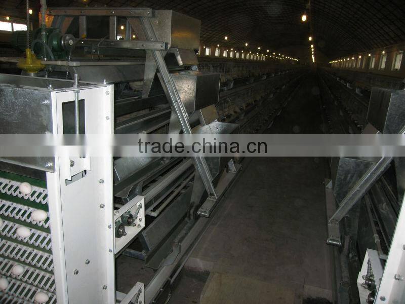 SONCAP Poultry equipment Chicken Coop