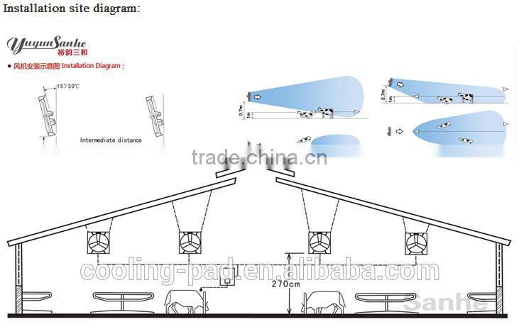 Dairy farming cows fan
