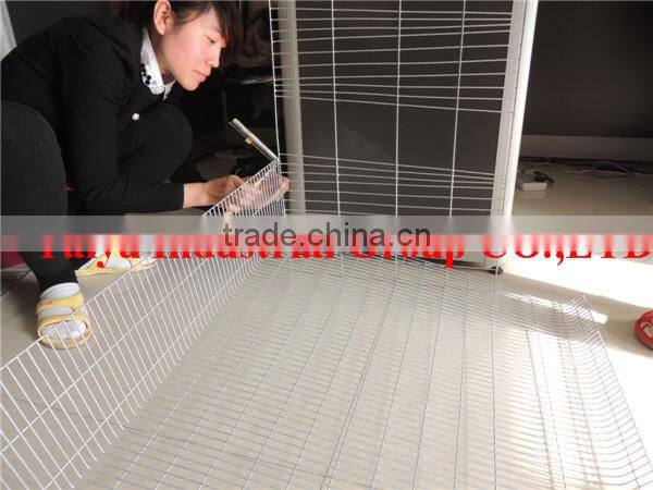 TAIYU Foreign Agent Farm Quail Visit Customers Every Year