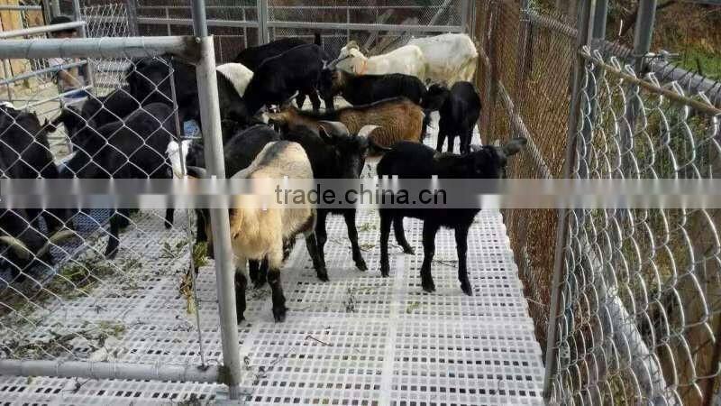Hot sale long lifetime for chicken goat used plastic gride floor