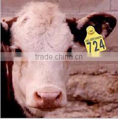 High Quality Painless Ear Tags for Tracking Cattle