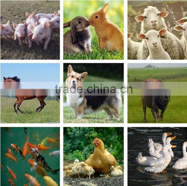 Hot Sale automatic China pellet press(spare parts) manufacturers