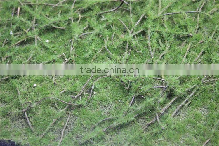man made thick moss carpet moss foam products flocking wall