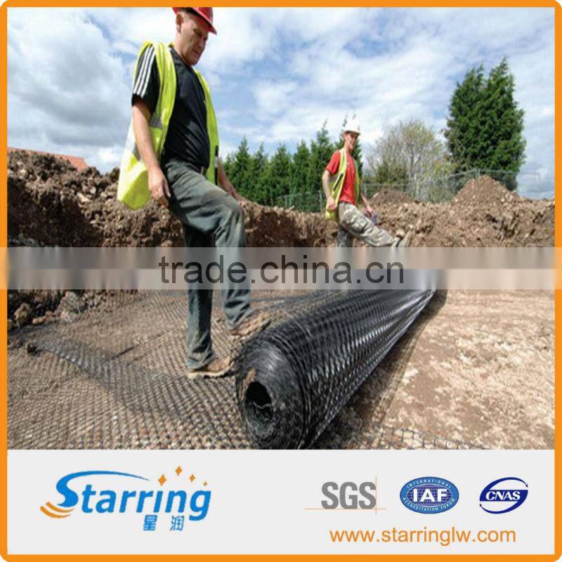 800g/m2 HDPE geonet