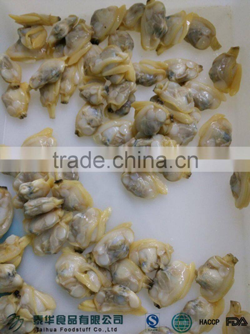 IQF cooked baby clam meat without shell for export