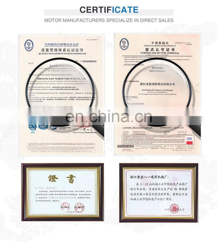 Hot selling 30kw 2955 rpm YE2 200L1-2 three phase electric ac water pump motor made in China