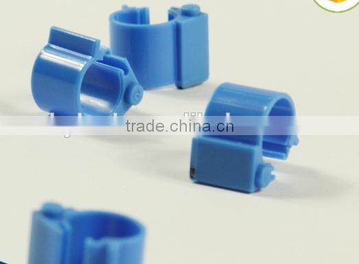 Electronic Ring Pigeon