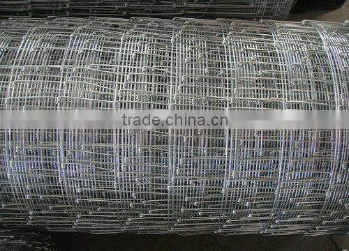 Welded Wire Mesh with personal factory