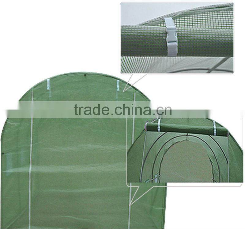 Large walk in greenhouse windows