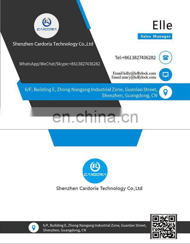 High Security Digital Biometric Fingerprint Door Lock Smart Lock WiFi App For Apartment