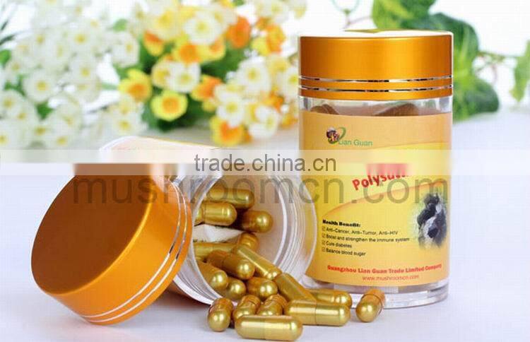 Herbal Supplements Type powder dosage form wild chaga chucks extract powder