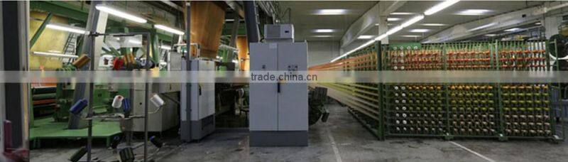 Modern stylish high quality sofa fabric 100polyester