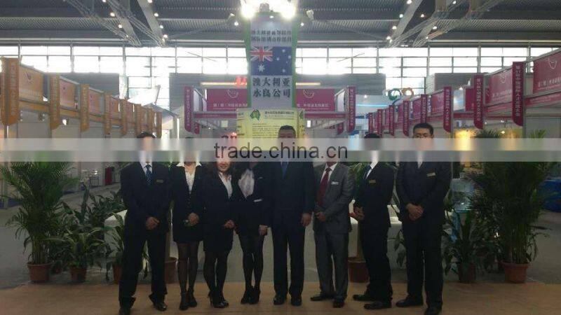 Dustless Sandblasting Room For Large profile with CE Approved