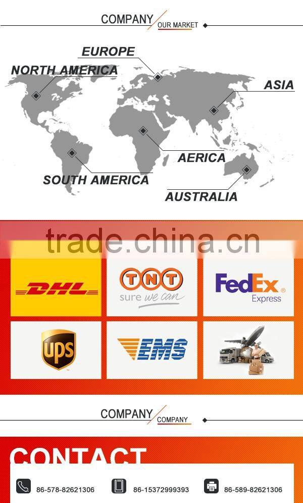 Custom Slim Fit round neck long-sleeved Clothing ladies Seamless Printing T-shirt