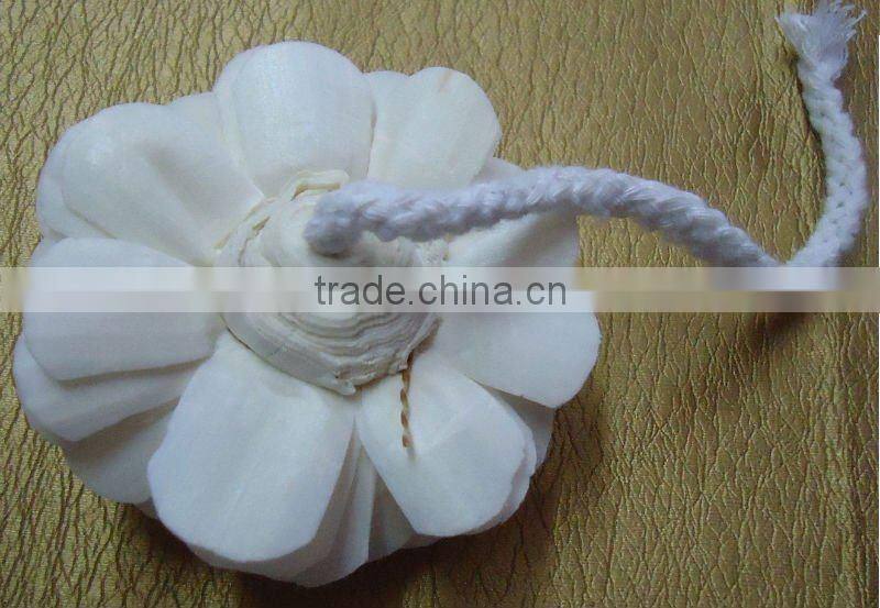 Natural sola flower diffuser