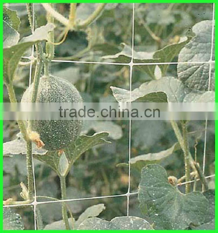 Low Price New Hdpe Material Climbing Plants Supporting Network For Sale