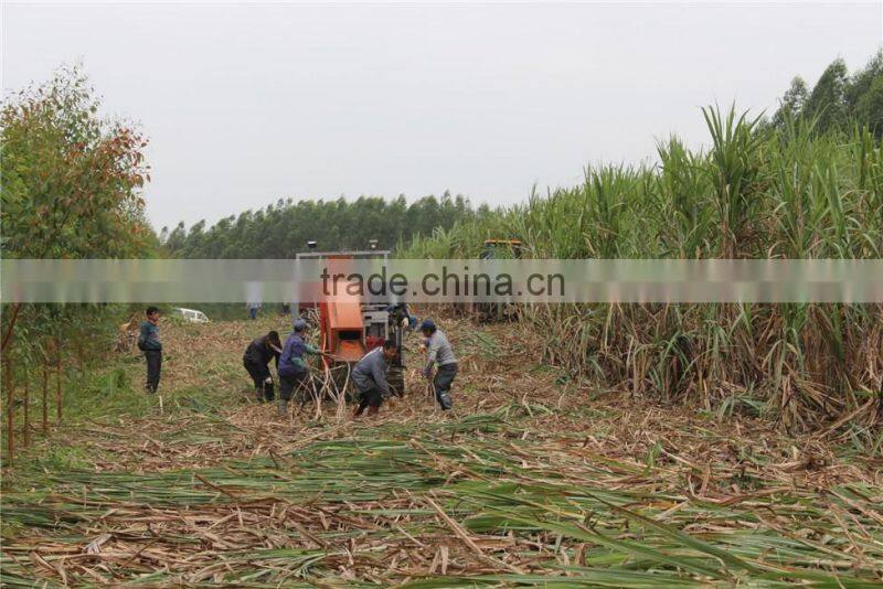 agricultural sugar cane leaf stripper/high productivity 6BCT-5 sugarcane peeling machine