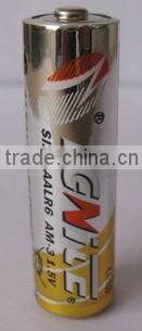OEM alkaline battery(dry cell battery)