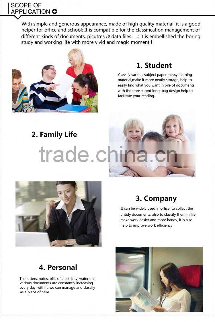 Cheap Ring Binder File Durable Plastic D Ring Business Office Folder