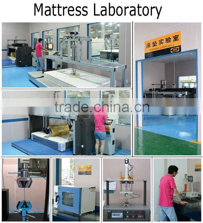 Modern and Fashion purple fabric Deluxe Soft Bed