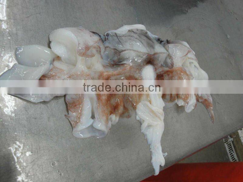 giant squid neck(Dosidicus Gigas)