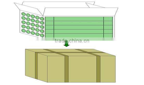 With CE RoHS Approval SMD2835 1200mm T8 LED Tube