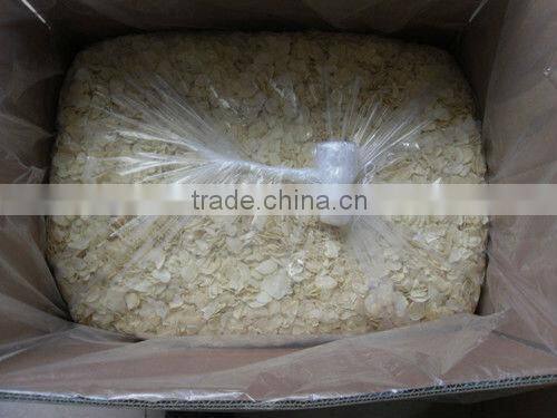 shandong garlic dehydration plant