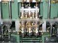 plastic extrusion blow molding machine(SPB-1L2JD)