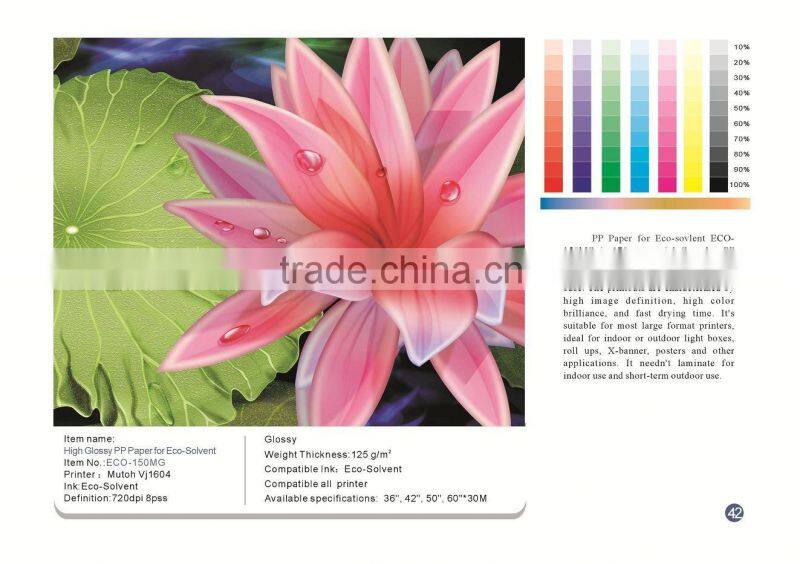 High Glossy PP paper for Eco-solvent