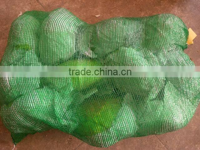 chinese round cabbage