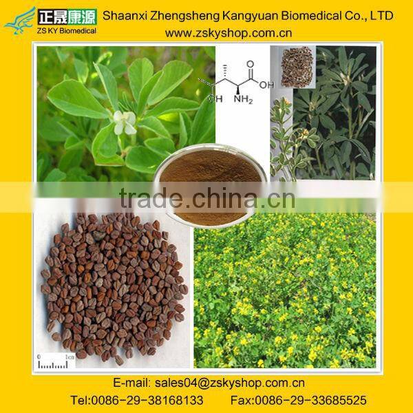 Fenugreek Seed Extract (Trigonell foenum-graecum L)