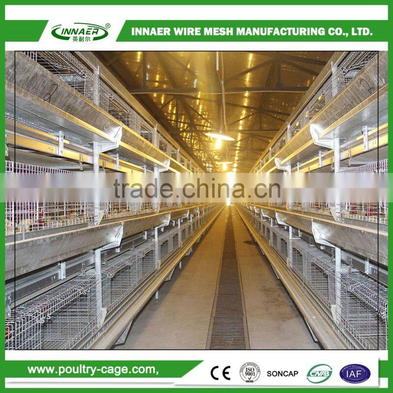Hot Sale for China Egg Chicken Cage(ISO9001) for Poultry farming