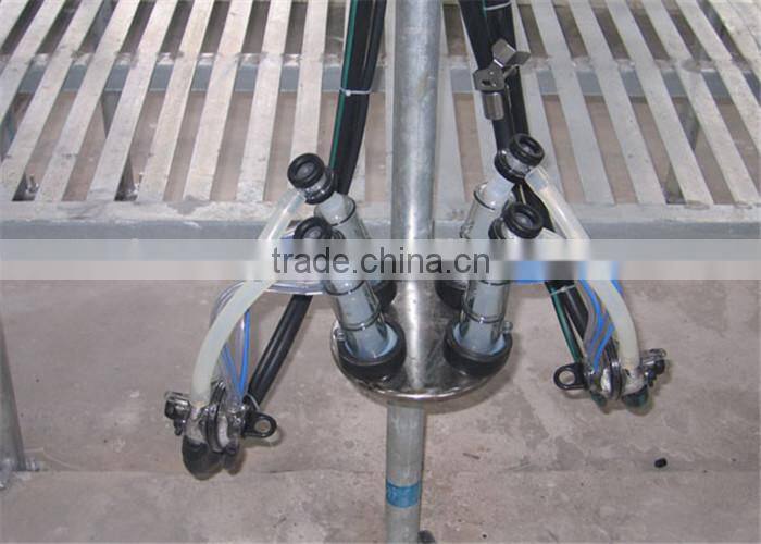 Farm Milking Parlour Plant for Goats and Sheep