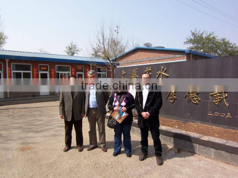 hebei smokehouse oven for beef sausage