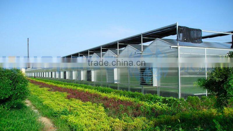Galvanized steel frame for PC sheet commercial greenhouses