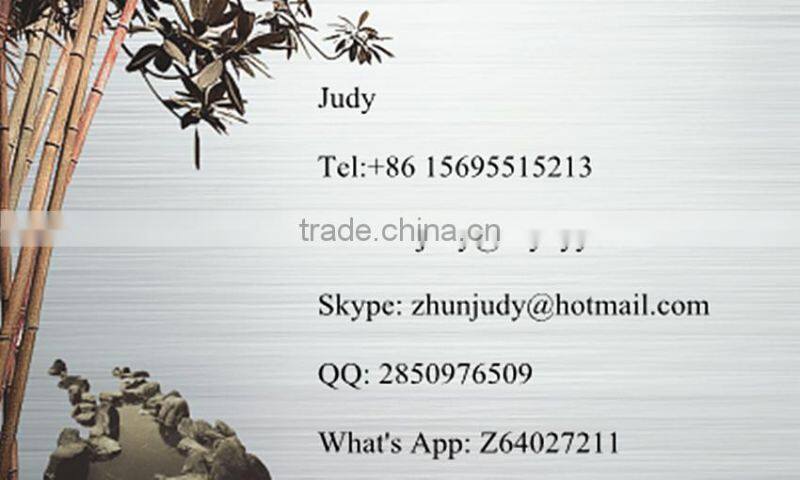 DZF-6090/6210 Lab vacuum drying oven with timing control