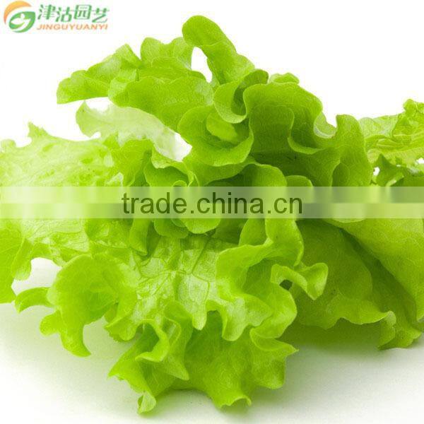 105 cell polystyrene plug seedling trays